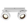 Decor Plafonnier Luminaires Ledvance LED Blanc, 2 lumières