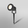 Endura Spot de jardin Luminaires Ledvance LED Noir, 1 lumière