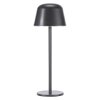 Endura Lampe à poser Luminaires Ledvance LED Gris, 1 lumière