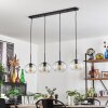 Apedo Suspension Clair, 4 lumières