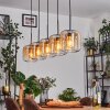 Lauden Suspension Ambre, Clair, 5 lumières