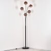 Koyoto Lampadaire Clair, Cuivré, 5 lumières