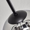 Gastor Plafonnier Chrome, Fumé, 6 lumières