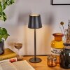 Salgadinho Lampe à poser LED Noir, 1 lumière