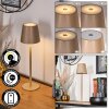 Salgadinho Lampe à poser LED Beige, 1 lumière