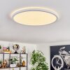 Endrup Plafonnier LED Blanc, 1 lumière