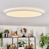 Endrup Plafonnier LED Blanc, 1 lumière