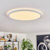 Endrup Plafonnier LED Blanc, 1 lumière