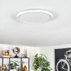 Endrup Plafonnier LED Blanc, 1 lumière