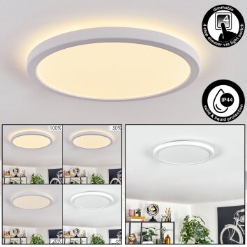 Endrup Plafonnier LED Blanc, 1 lumière