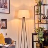 Bassagoda Lampadaire beige, 1 lumière