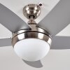 Ventilateurs de Plafond Morino Nickel mat, Argenté, 2 lumières, Télécommandes