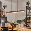 Carbellino Suspension LED Blanc, 1 lumière