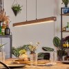 Carbellino Suspension LED Brun foncé, Noir, 1 lumière