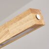 Carbellino LED Écru, Noir, 1 lumière