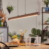 Carbellino Suspension LED Brun foncé, Noir, 1 lumière