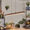 Carbellino Suspension LED Brun foncé, Noir, 1 lumière