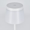 Algeraz Lampe de table d'extérieur, Lampe à poser LED Blanc, 1 lumière