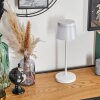 Algeraz Lampe de table d'extérieur, Lampe à poser LED Blanc, 1 lumière