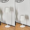 Belece Lampe de table d'extérieur, Lampe à poser LED Blanc, 1 lumière