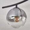 Gastor Plafonnier, Boule lumineuse Chrome, Clair, Fumé, 6 lumières