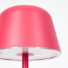 Asen Lampe de table d'extérieur, Lampe à poser LED Rose, 1 lumière