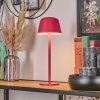 Asen Lampe de table d'extérieur, Lampe à poser LED Rose, 1 lumière