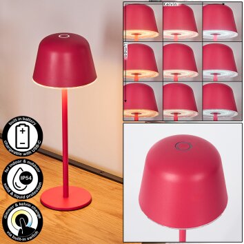 Asen Lampe de table d'extérieur, Lampe à poser LED Rose, 1 lumière