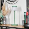 Algeraz Lampe de table d'extérieur, Lampe à poser LED Vert, 1 lumière