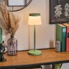 Algeraz Lampe de table d'extérieur, Lampe à poser LED Vert, 1 lumière