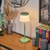 Algeraz Lampe de table d'extérieur, Lampe à poser LED Vert, 1 lumière