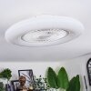 Benesal Plafonnier, Ventilateur de plafond lumineux Blanc, 1 lumière, Télécommandes