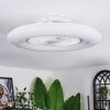 Benesal Plafonnier, Ventilateur de plafond lumineux Blanc, 1 lumière, Télécommandes