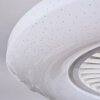 Benesal Plafonnier, Ventilateur de plafond lumineux LED Blanc, 1 lumière, Télécommandes