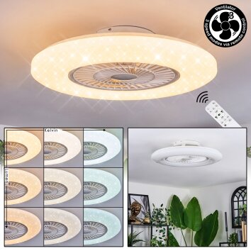 Benesal Plafonnier, Ventilateur de plafond lumineux Blanc, 1 lumière, Télécommandes