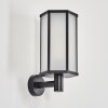 Monfanim Lampe murale d´extérieur Noir, 1 lumière