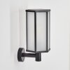 Monfanim Lampe murale d´extérieur Noir, 1 lumière