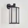 Monfanim Lampe murale d´extérieur Noir, 1 lumière