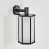 Monfanim Lampe murale d´extérieur Noir, 1 lumière