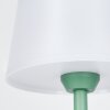 Algeraz Lampe de table d'extérieur, Lampe à poser LED Vert, 1 lumière