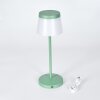 Algeraz Lampe de table d'extérieur, Lampe à poser LED Vert, 1 lumière