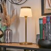 Algeraz Lampe de table d'extérieur, Lampe à poser LED Beige, 1 lumière