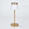 Algeraz Lampe de table d'extérieur, Lampe à poser LED Beige, 1 lumière