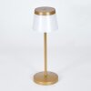 Algeraz Lampe de table d'extérieur, Lampe à poser LED Beige, 1 lumière