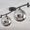 Gastor Plafonnier, Boule lumineuse Chrome, Fumé, 6 lumières