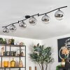 Gastor Plafonnier, Boule lumineuse Chrome, Clair, Fumé, 6 lumières