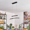 Casalino Suspension LED Noir, Transparent, 1 lumière