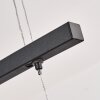 Casalino Suspension LED Noir, Transparent, 1 lumière