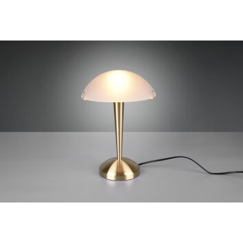 Lampe de table Reality Pilz 2 Laiton, 1 lumière Lampe de table Reality Pilz 2 Laiton, 1 lumière