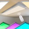 Plafonnier WABOS LED Blanc, 1 lumière, Télécommandes, Changeur de couleurs